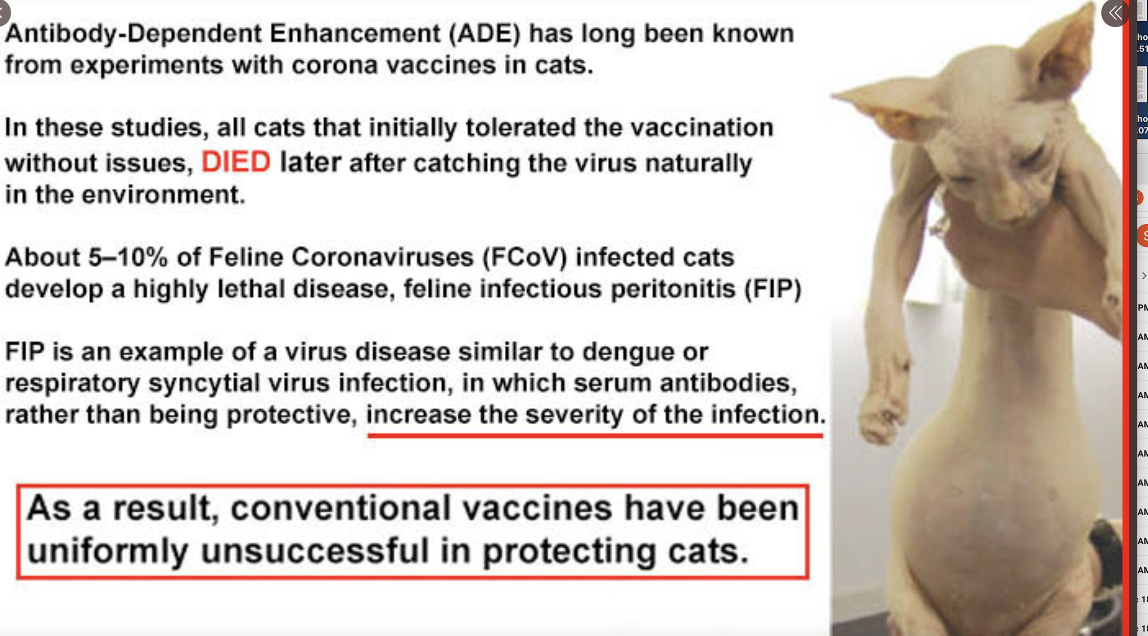 Click image for larger version  Name:	cat Screen Shot 2020-12-19 at 12.49.44 PM.png Views:	0 Size:	1.57 MB ID:	210594