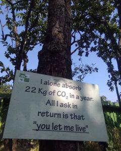 Click image for larger version

Name:	Tree.jpg
Views:	86
Size:	19.1 KB
ID:	217890