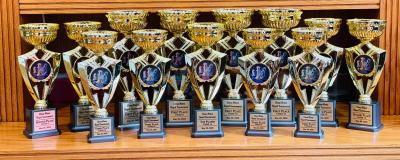 Click image for larger version

Name:	Chess-MatesTrophy.jpg
Views:	83
Size:	23.0 KB
ID:	219773