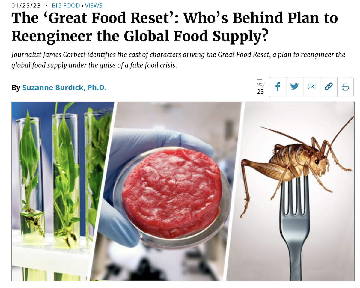 Click image for larger version  Name:	Food Reset 2023-01-29 at 8.32.59 AM.png Views:	14 Size:	981.2 KB ID:	224296