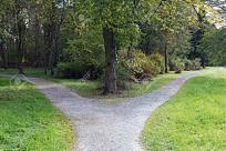 Click image for larger version

Name:	Fork in the Road.jpg
Views:	171
Size:	26.7 KB
ID:	237320
