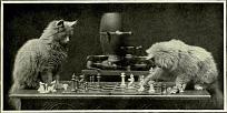 Click image for larger version

Name:	CatChess1.jpg
Views:	45
Size:	28.4 KB
ID:	244474